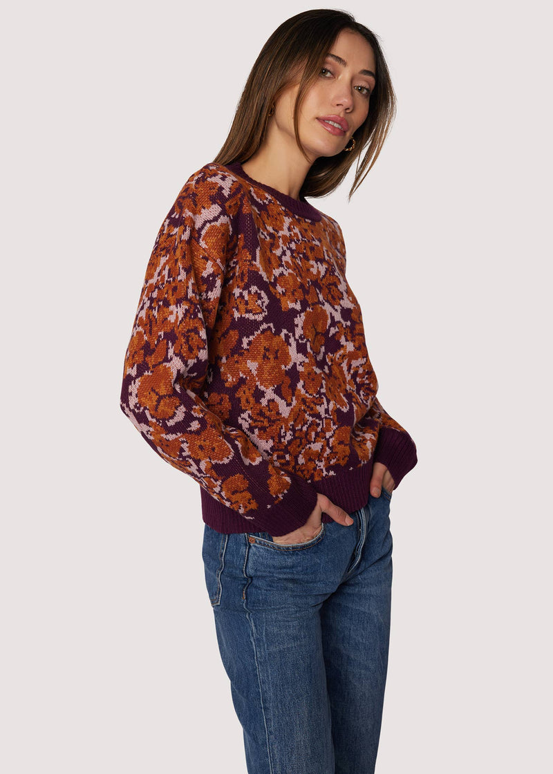 Autumnal Sonata Pullover