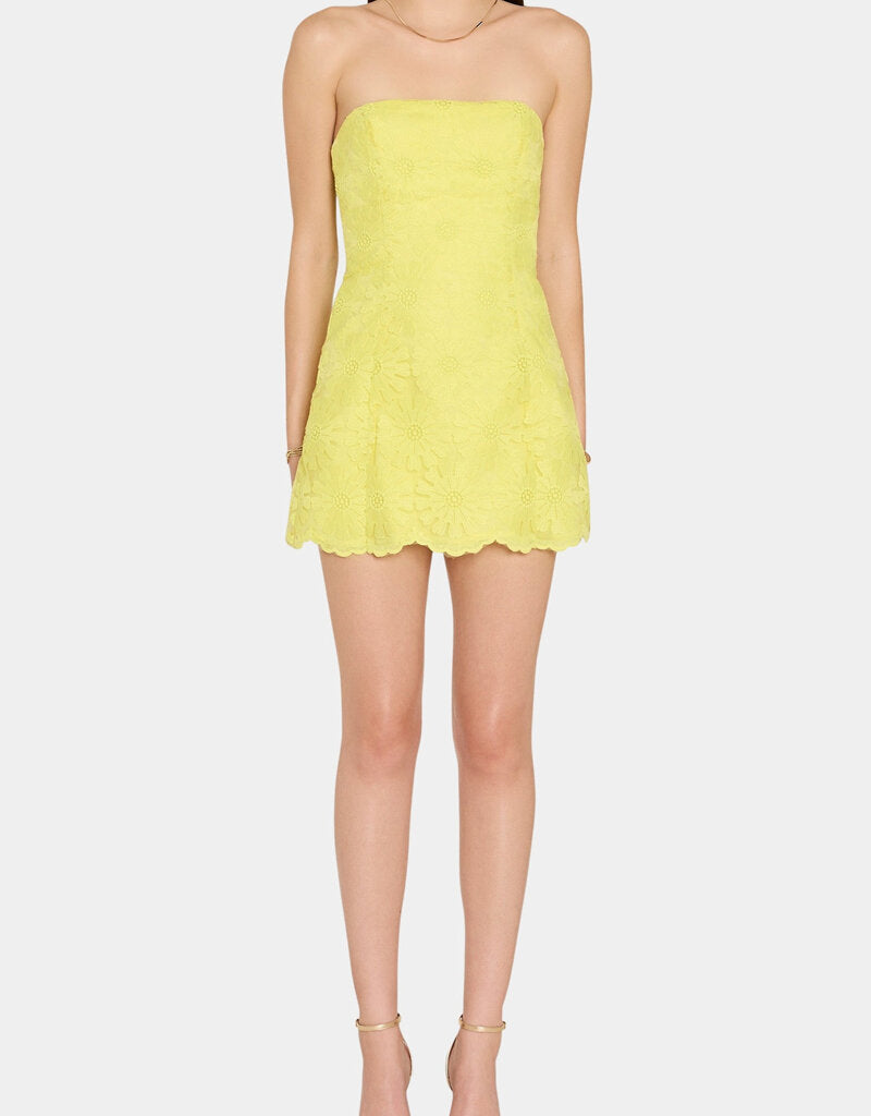 hi lo dresses for women Amanda Hi Lo Tie Front Dress main image 0